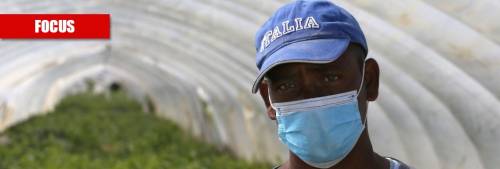 La Bellanova piange per i migranti. Ma loro snobbano la sanatoria
