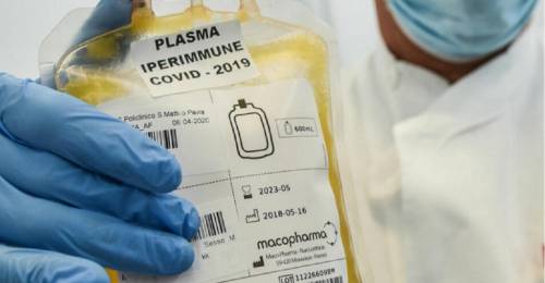 "Perché non funziona": bocciata la cura col plasma