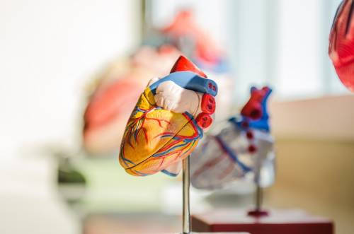 Bristol Myers Squibb, con MyoKardia franchise cardiovascolare più forte