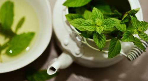 Menta, tutte le proprietà e i benefici di questa pianta