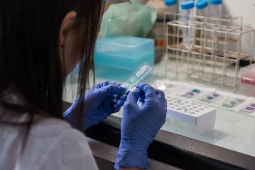Lo stupro risolto dopo 14 anni e il «miracolo» Banca del Dna