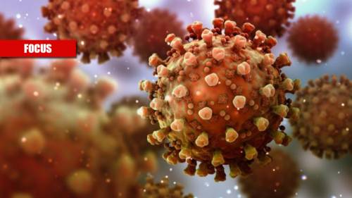 'L'immune escape' fa paura: ecco come il virus ci inganna