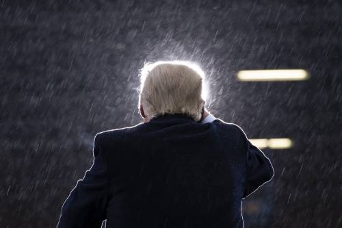 I tormenti dell'elefantino