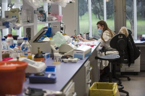 Coronavirus, esperti lanciano CovIndex: l'alternativa all’indice Rt