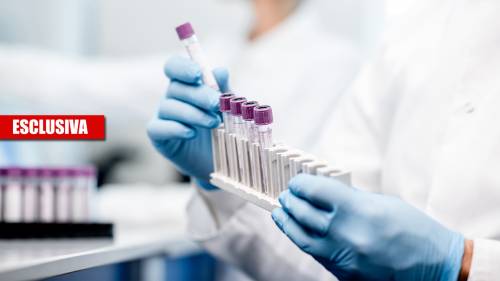 I nanoanticorpi saranno la svolta: ecco la nuova cura anti-Covid