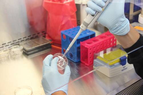 Mesotelioma pleurico, ok dalla Ue il nuovo trattamento combinato