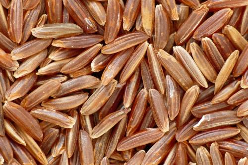 Dieta del riso rosso, tutti i benefici per l'organismo
