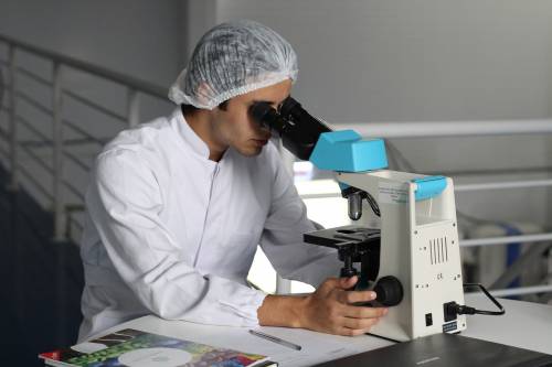 Cellule T, così agiscono nel rigetto degli organi trapiantati