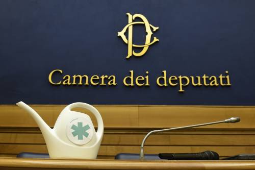 "Pronta la proposta per legalizzare la cannabis". Ora il governo rischia grosso