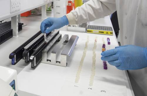 Coronavirus, i ricercatori israeliani: "Siamo vicini al vaccino"