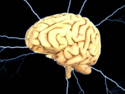 "Il cervello in quarantena? Cambia in tutti i sensi"