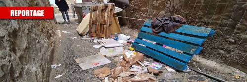 Napoli, i topi padroni del centro storico (patrimonio Unesco)