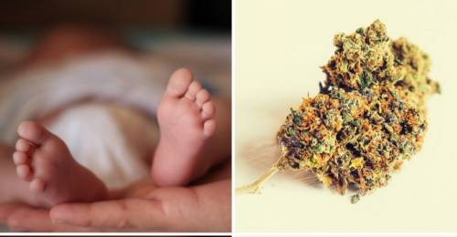Quei bimbi positivi alla droga: "Così i casi sono raddoppiati" Quei bimbi positivi alla droga: "Così i casi sono raddoppiati"