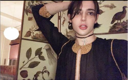 Morto tragicamente a 24 anni Harry Brant, figlio della top model Stephanie Seymour Morto tragicamente a 24 anni Harry Brant, figlio della top model Stephanie Seymour