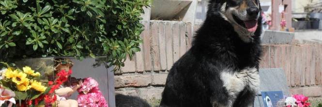 Capitan Addio Al Cane Simbolo Della Fedelta Ilgiornale It