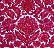 NELL’ALTRA VALLE Il pollice verde  dei ragazzi  di Rezzoaglio