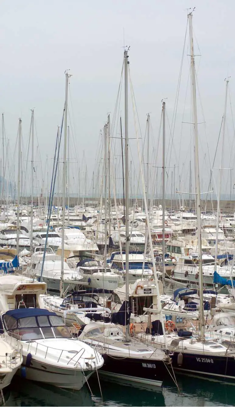 PAPA BENEDETTO A GENOVA E A SAVONA