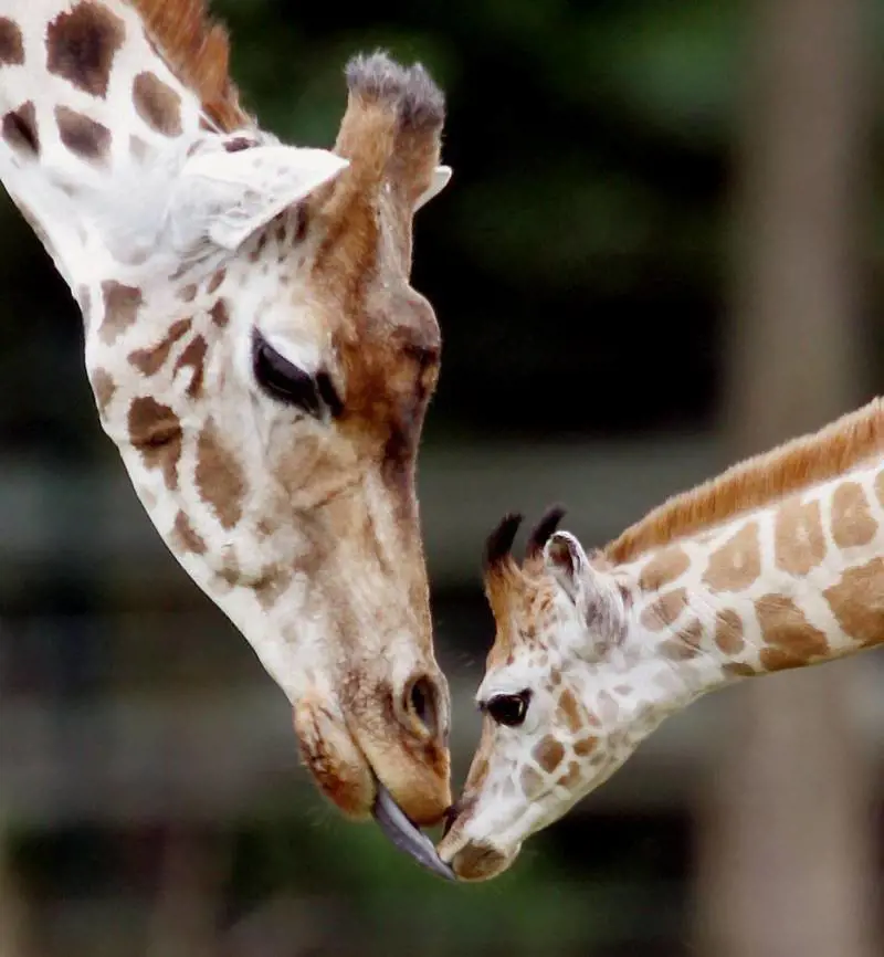 Divorzio tra Valtellinese e Julius Baer