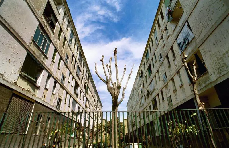 CUOCHI E GIOCHINI: LA MATTINA RAI