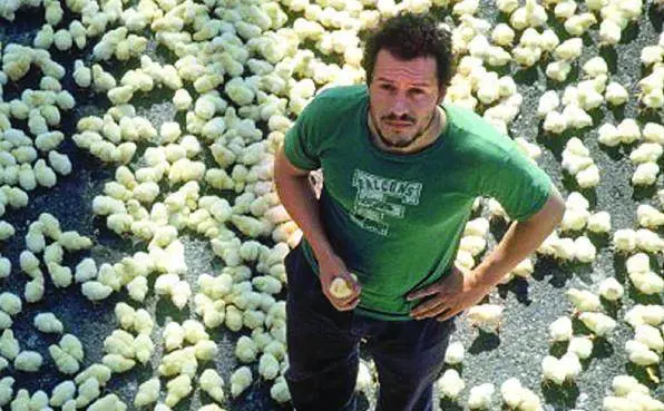 Enel, più dividendo e quindici miliardi per crescere all’Est