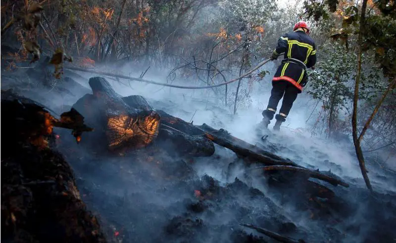 Canta la Roma dantan