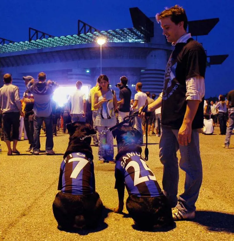 Unonda verde sul mare di Reggio  «Siamo antilopi in mezzo ai leoni»