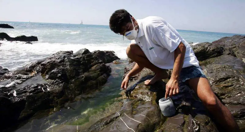 Alga tossica, Comune indagato
