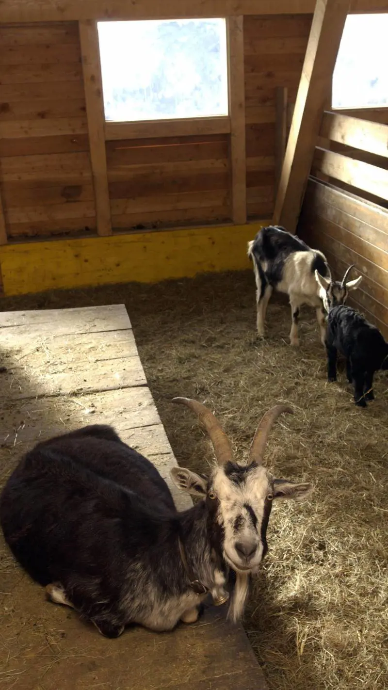 «Soy Cuba» riemerge dagli archivi sovietici