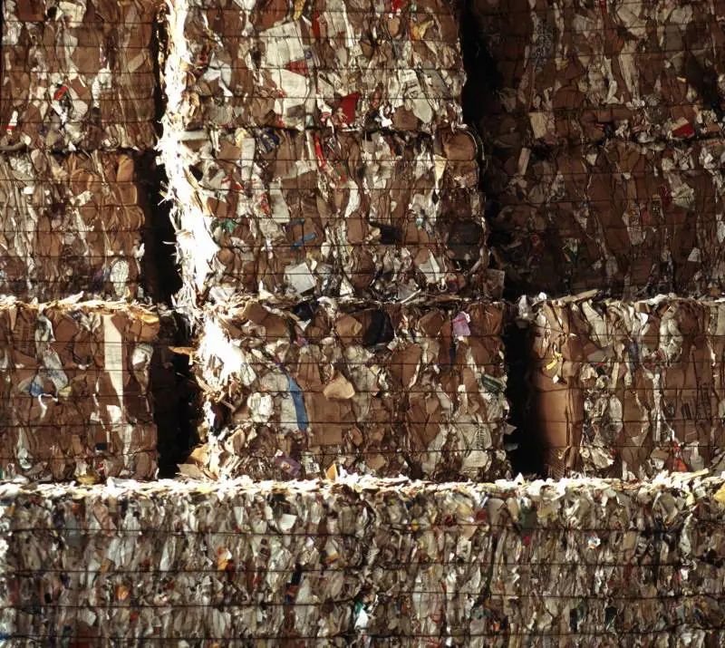 Diventa beato Von Galen, il cardinale antinazista