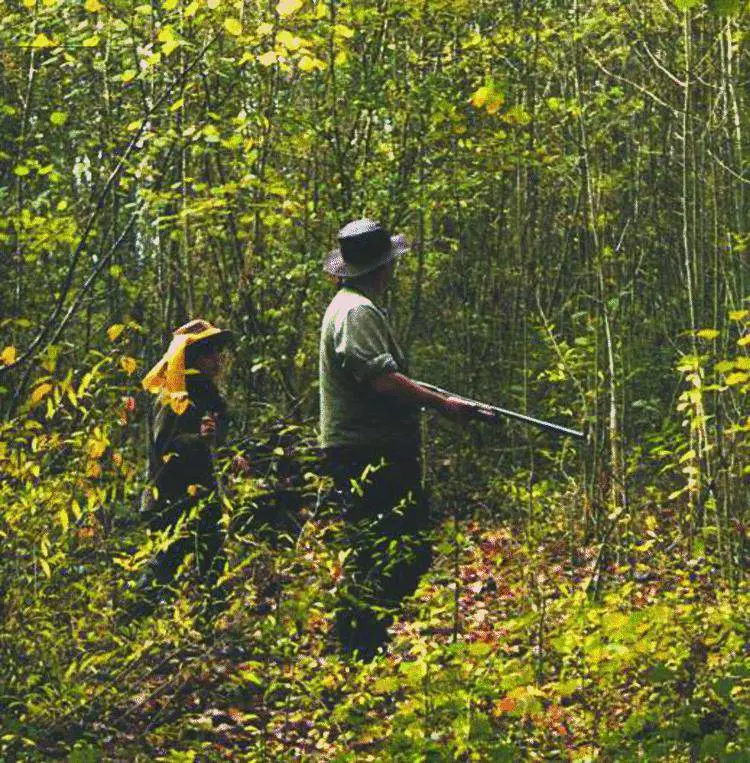 Domani lapertura tra promesse e realtà