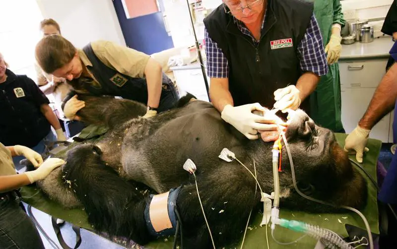 «Farmaci, nel Lazio risparmiati 35 milioni»