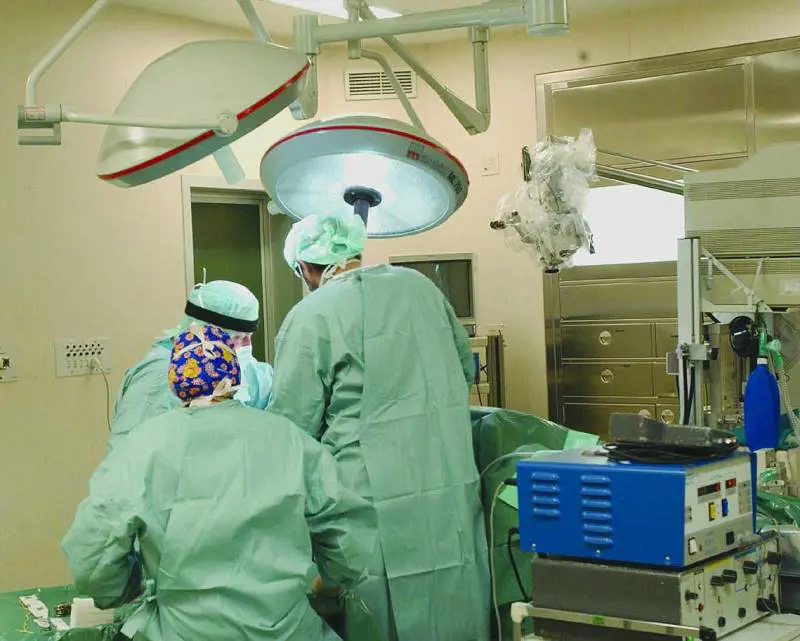 «Con La Russa sindaco mi trasferisco a Milano»