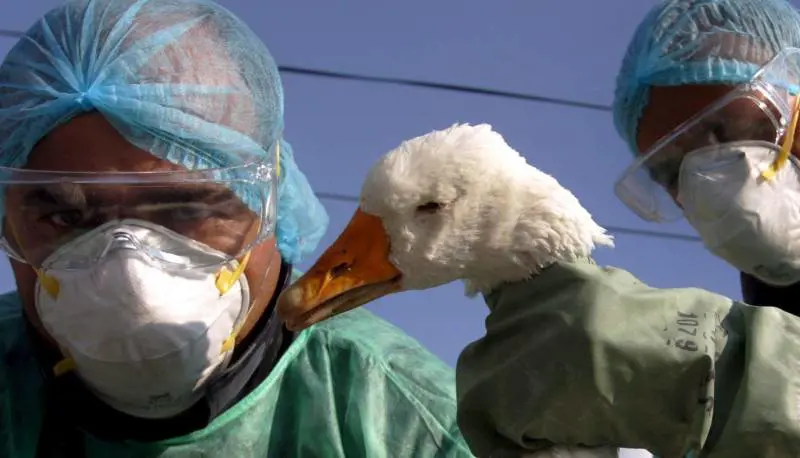 «I dottori curino la medicina»