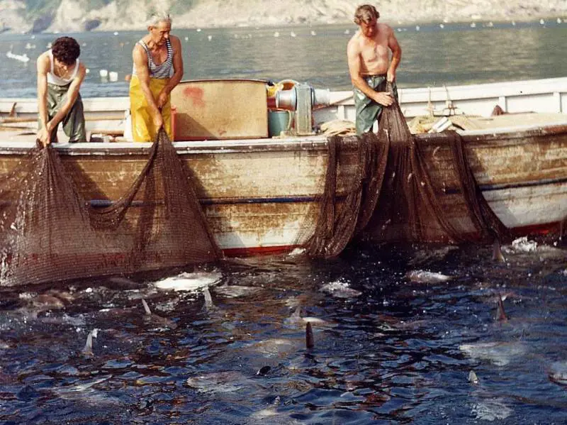 Appena 10 anni, trovato a dormire dentro unauto