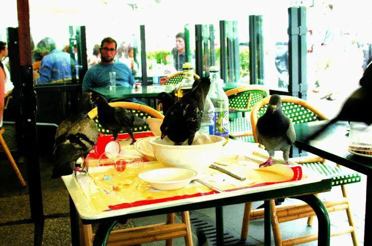 Da Alvito a Lodi, la parabola dellultimo Governatore a vita