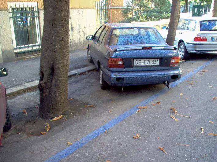 Segnaletica Blu Area Il Comune ne ha fatte di tutti i colori