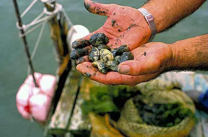 Anziani uccisi, sotto torchio i figli