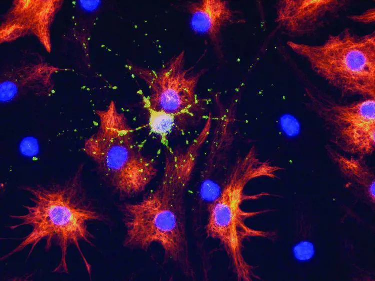 «Sono pronto a riferire ciò che so ai magistrati»