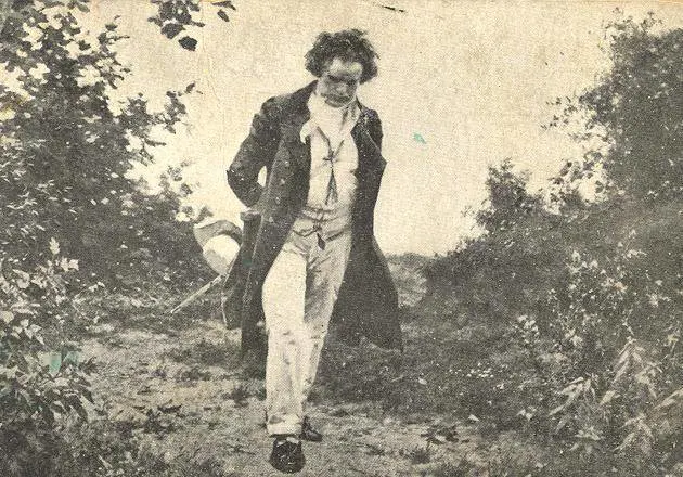 I Negramaro dei contrasti