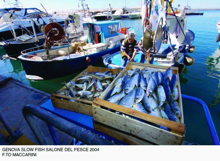 «Slow fish», di lento cera soprattutto il servizio