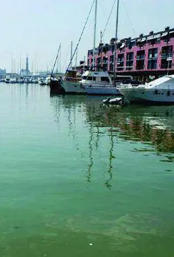 Peschereccio contro il molo