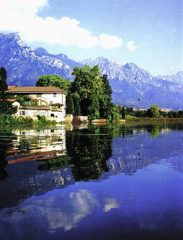 DAlema attacca gli Usa «Usano il fosforo in Irak sono come i kamikaze»