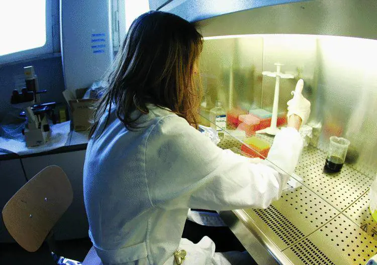 Per i nomadi cè posto solo se diventano «Italiani in difficoltà»