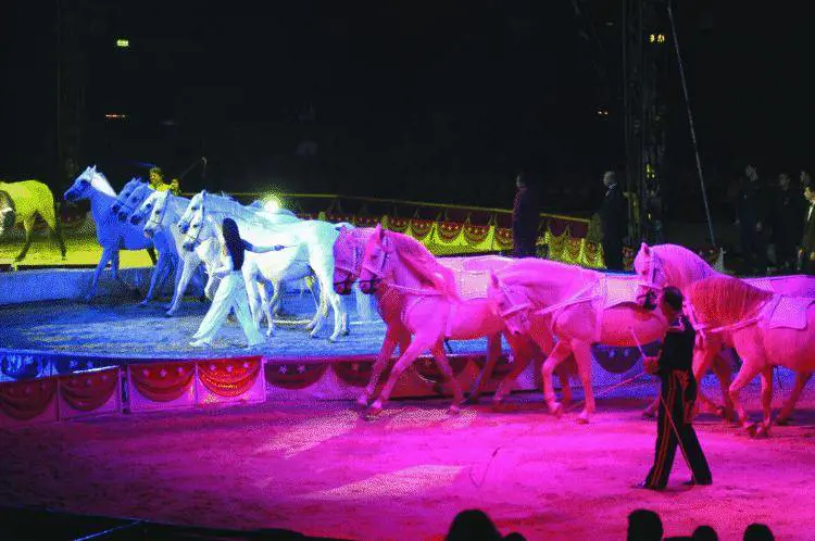 Per la prima volta a Genova il circo più bello del mondo