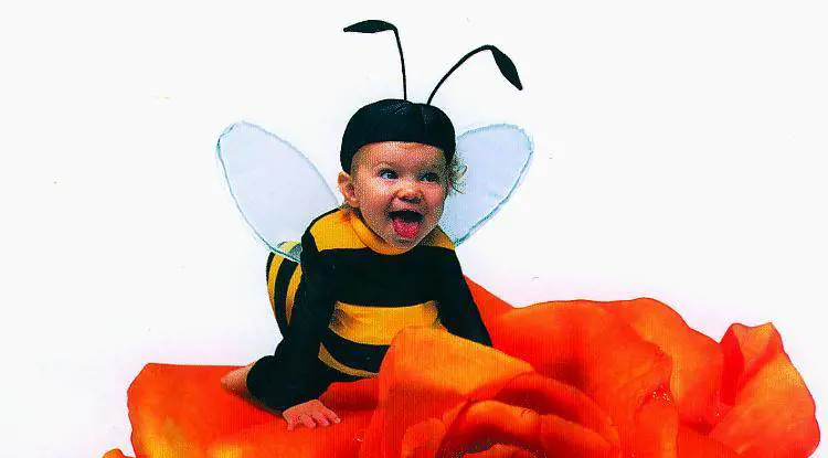 Due rose in «par condicio» a Euroflora 2006