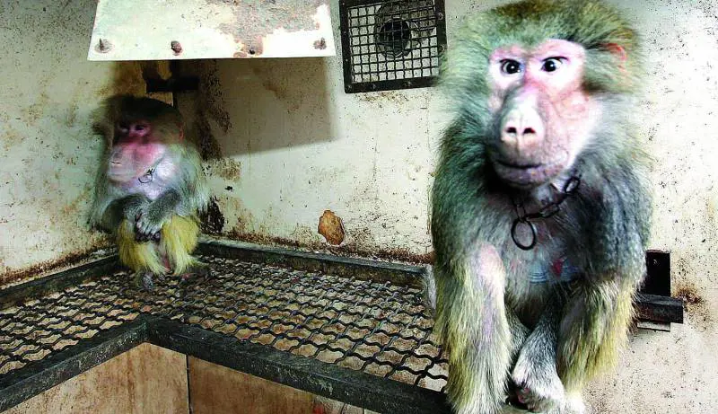 Recordati si rafforza nel mercato tedesco