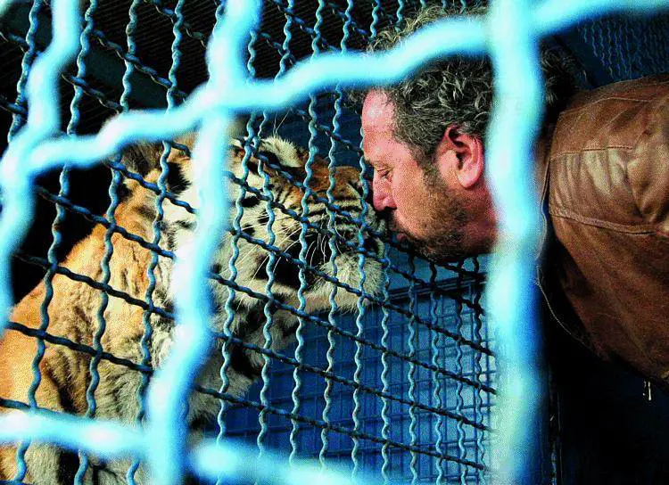 Quando lolivo fa fiorire  lispirazione degli artisti