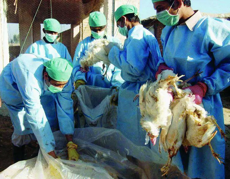 Su Magna Carta unanalisi spietata del veltronismo