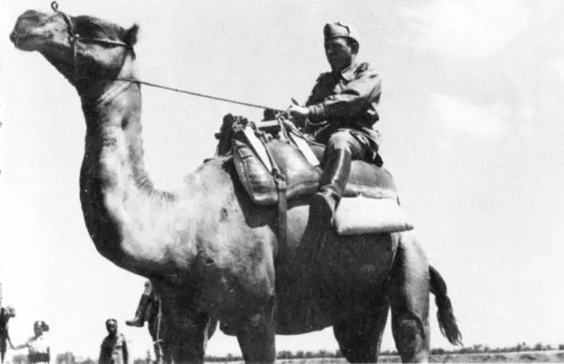 Scaroni: piano Eni contro lemergenza gas