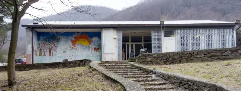 I cani nell’ex scuola finiscono in Comune